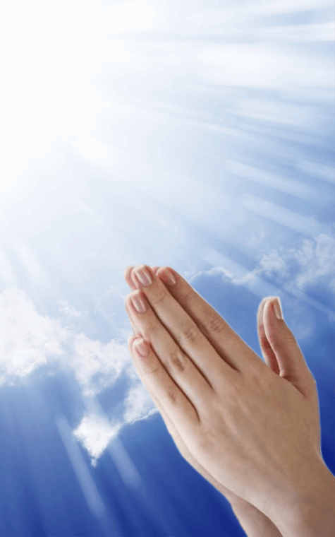 Диспенсация 23 числа Диспенсация 23 числа